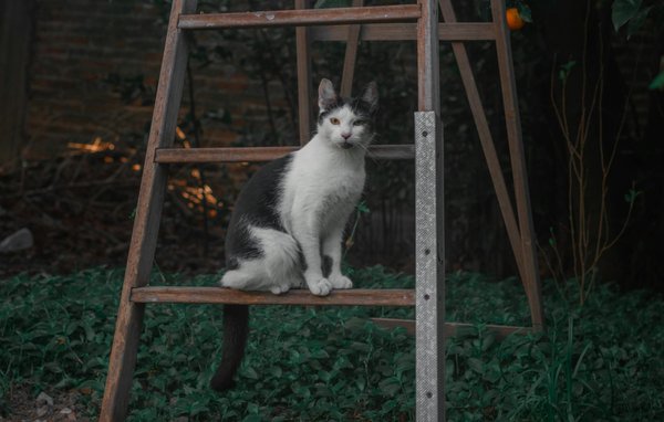 How to Cultivate a Sense of Adventure and Explore Uncharted Territories?